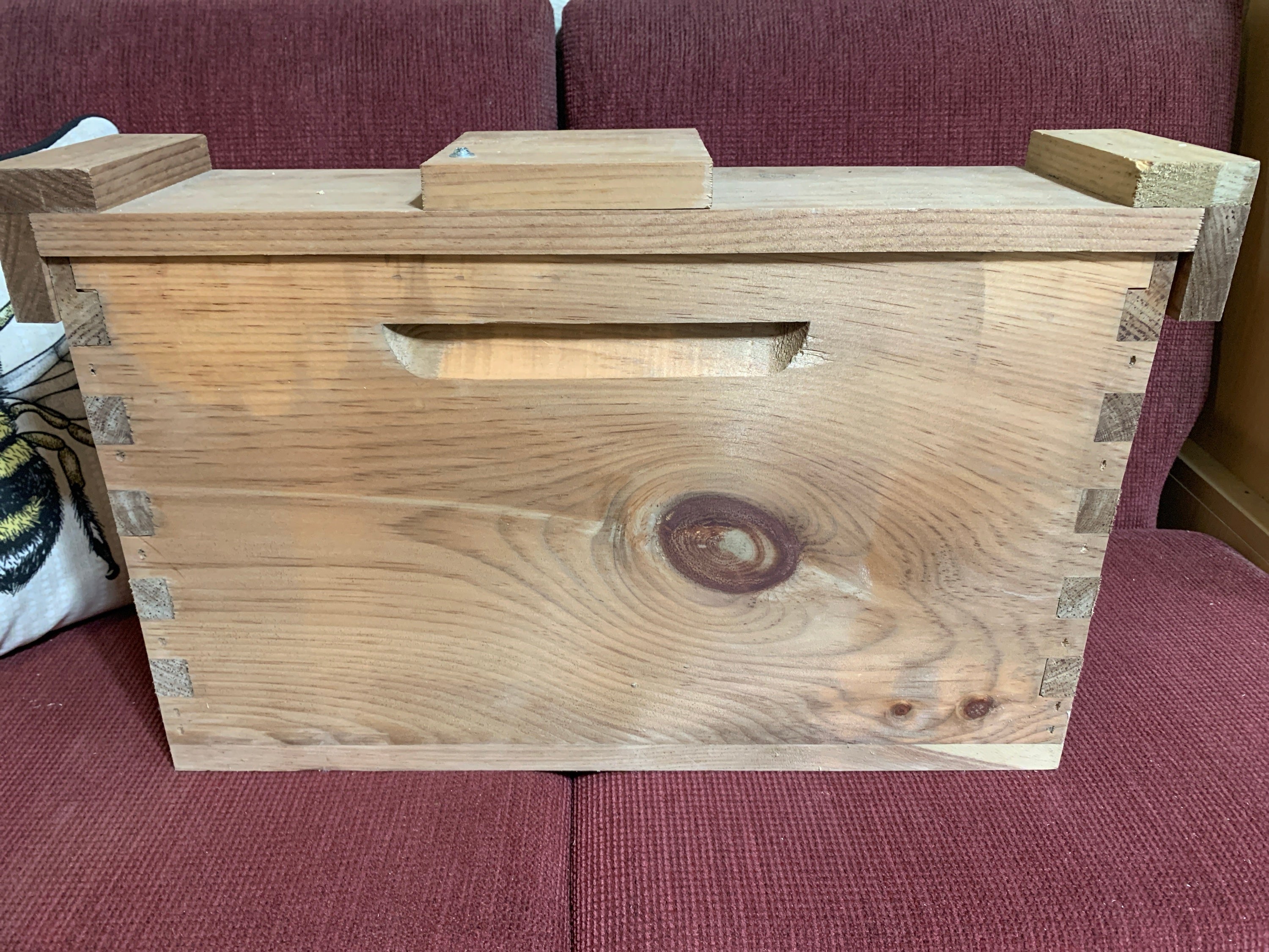 BB - Langstroth 2-Frame NUC - Complete Hive – Bearsville Bees