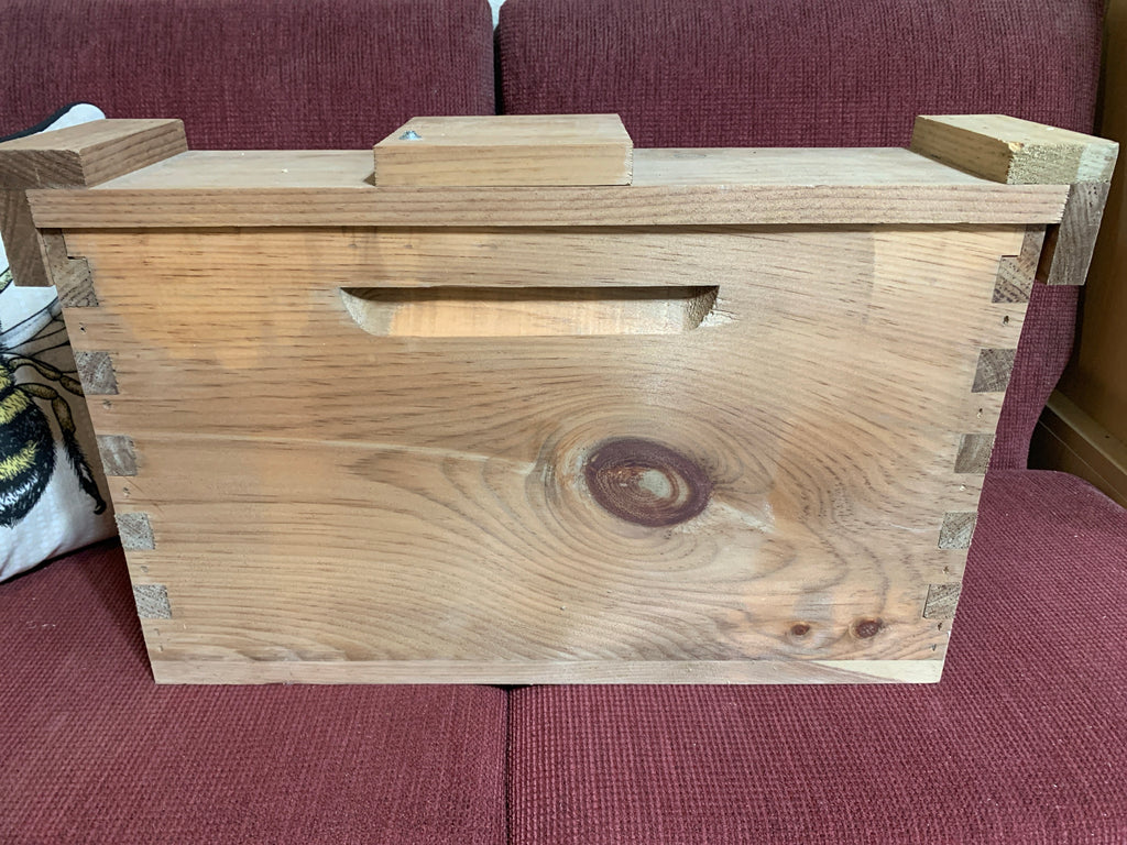 BB - Langstroth 2-Frame NUC - Complete Hive image 1