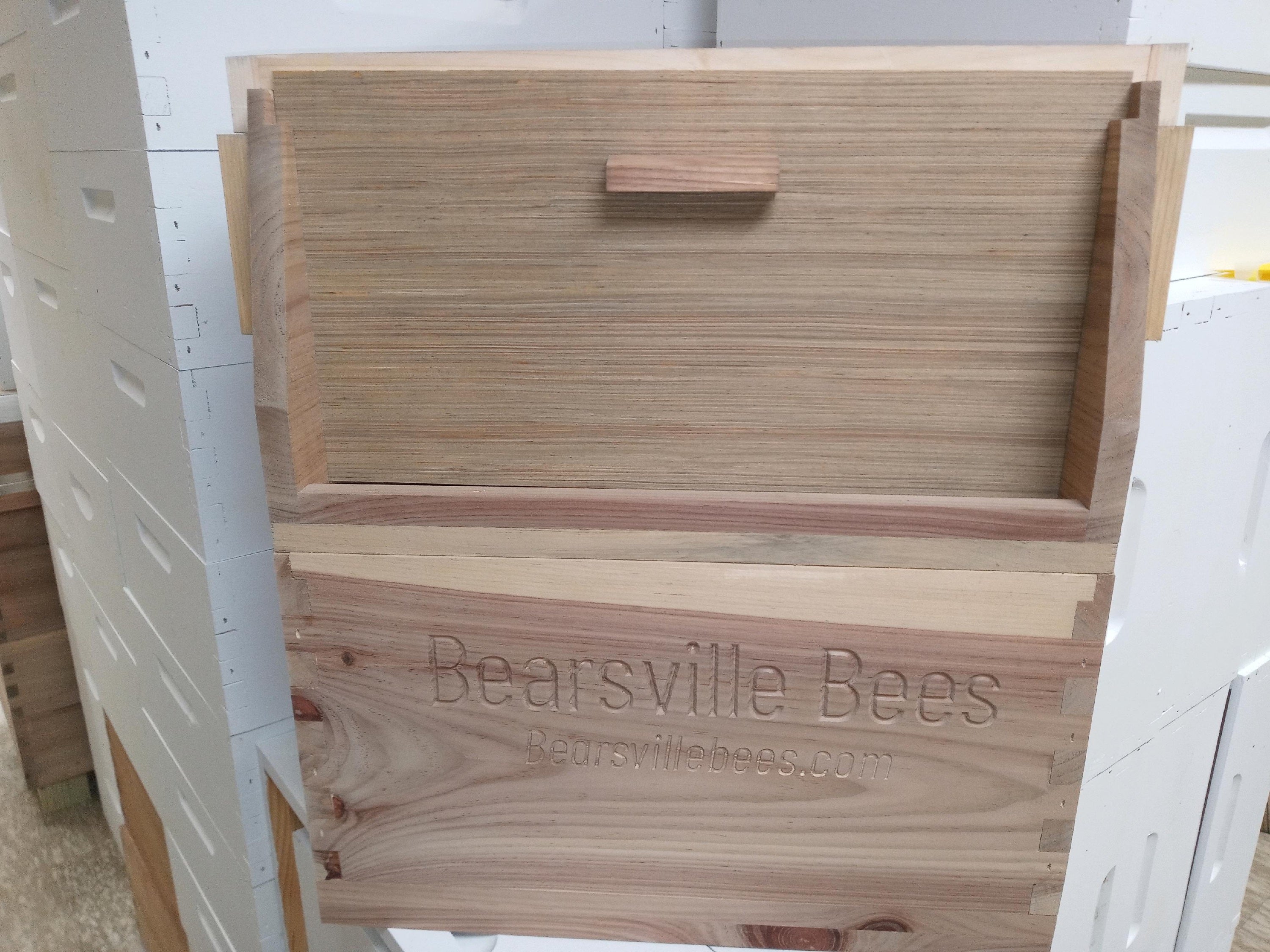 Z - Observation Hive - 5 Frame image 1