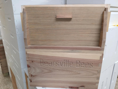 Z - Observation Hive - 5 Frame image 1