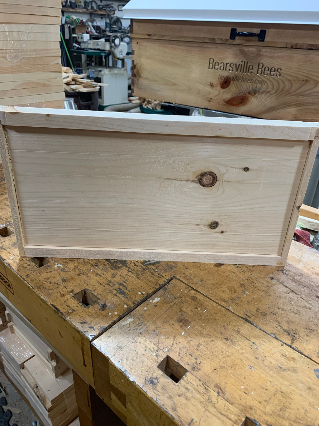 Bearsville Bees - Long Lang Follower Board image 0