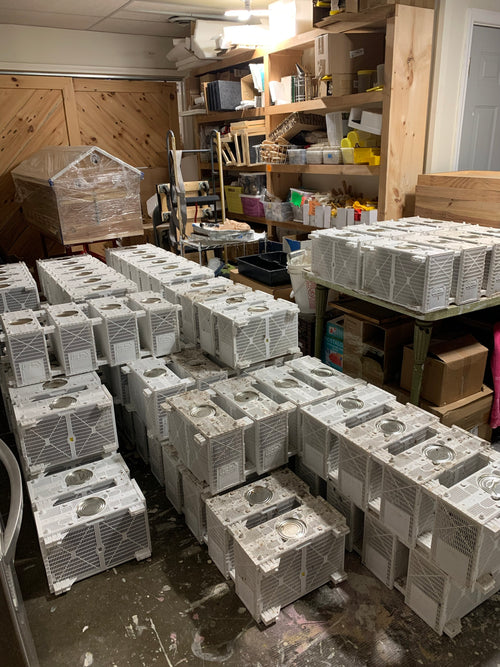 BEES - 3 lb. Pack of Purebred Russian Bees image 0