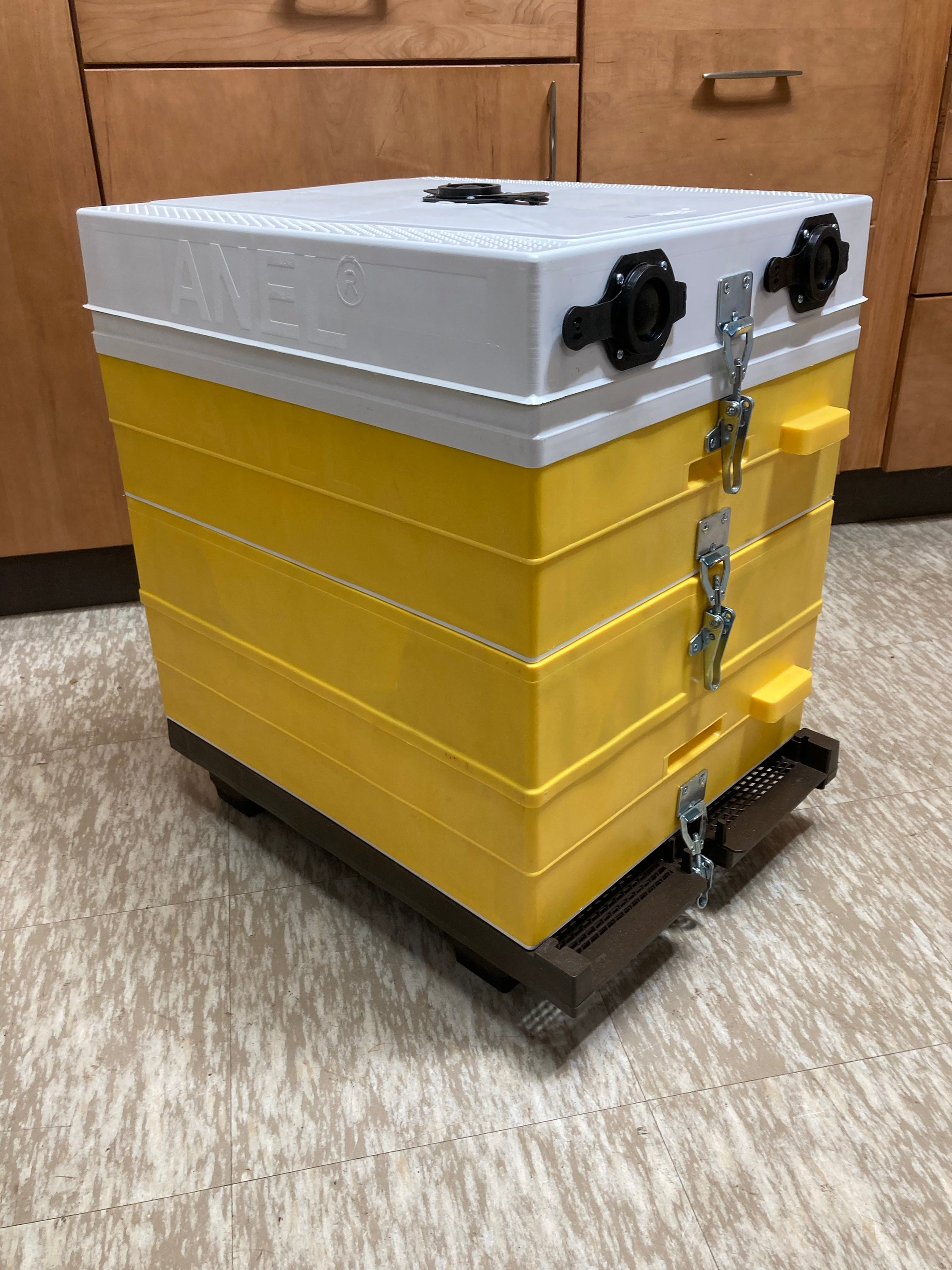 Z - Anel© Hive Components (3 mediums) image 3