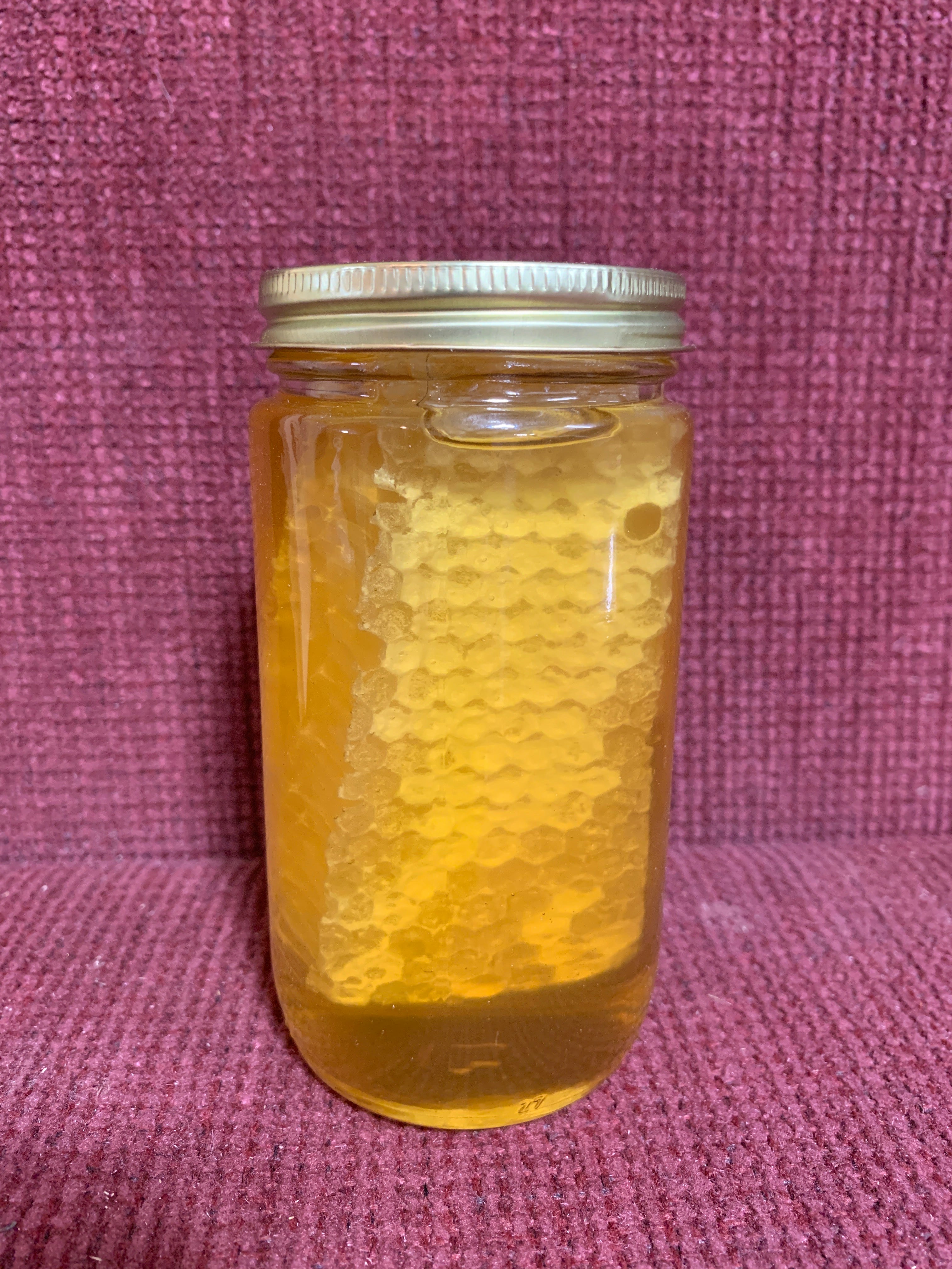 HONEY with COMB 16oz.