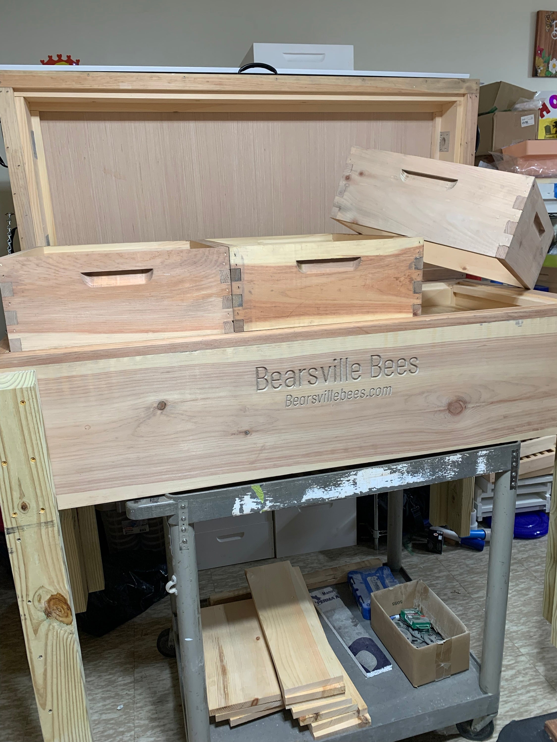 Bearsville Bees Insulated Long Langstroth Hive with Supers image 4