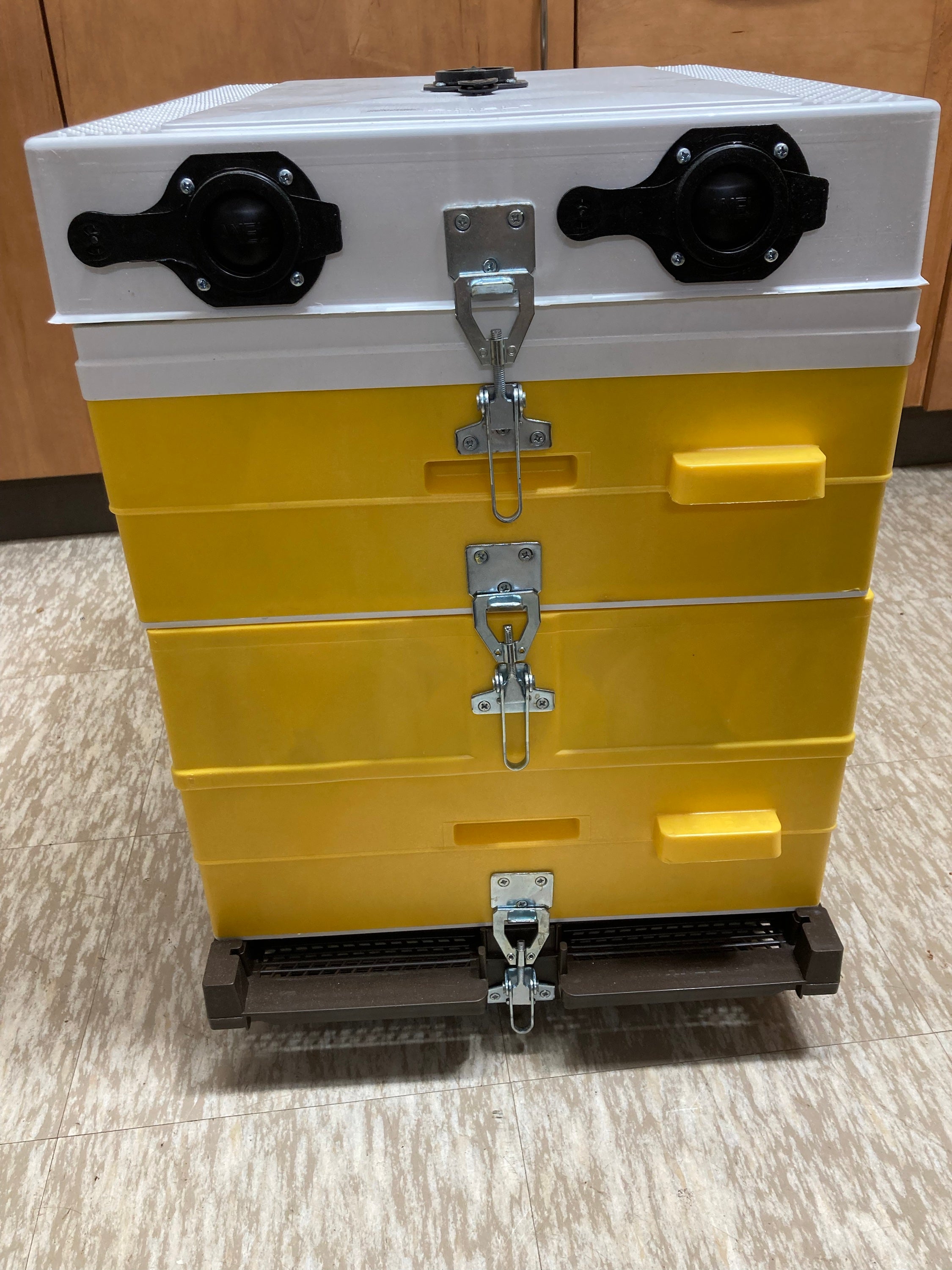 Z - Anel© Hive Components (3 mediums) image 4